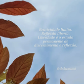 Reatividade limitante 