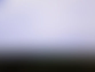 Carta ao futuro - Nova Terra