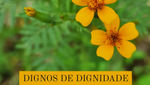 Dignos de dignidade