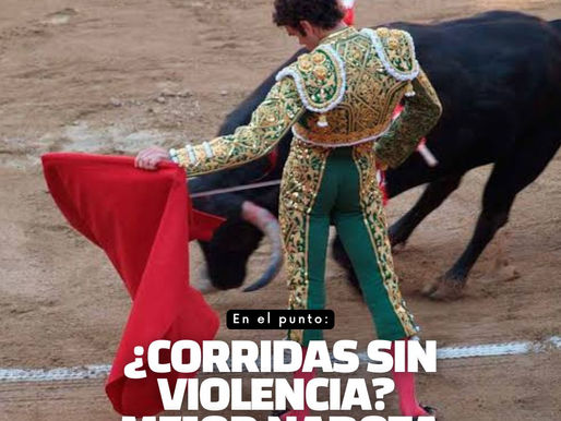 En el punto: ¿Sin violencia la corrida? Mejor nadota.