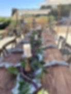 Wooden Trestle Table 4