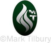 Commissions and Collaborations