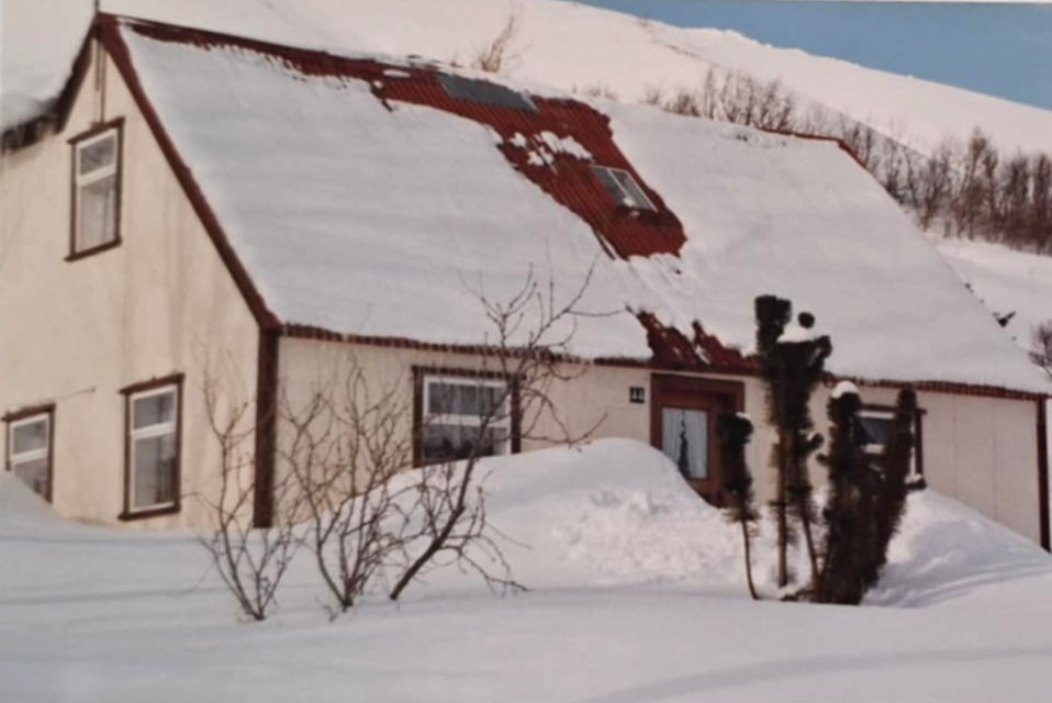 Þessi snjóamynd er tekin þegar liðinn er um áratugur frá því að furunni var plantað. Mynd: Anna Kristveig Arnardóttir.