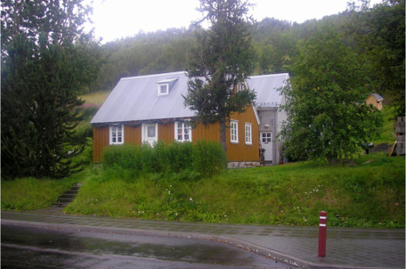 Mynd sem Arnór Bliki Hallmundsson tók þann 15. ágúst 2009. Þá náði krónan alveg að jörðu. Sjá má furuna lengst til vinstri á myndinni.