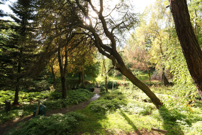 Þarna er núna glæsilegur unaðsreitur sem vert er að heimsækja. Mynd: Sig.A.