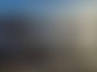 Vatnsskaði. Um áhrif flóða og vatnsmettunar jarðvegs á tré