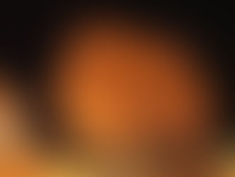 Björk eða hengibjörk?