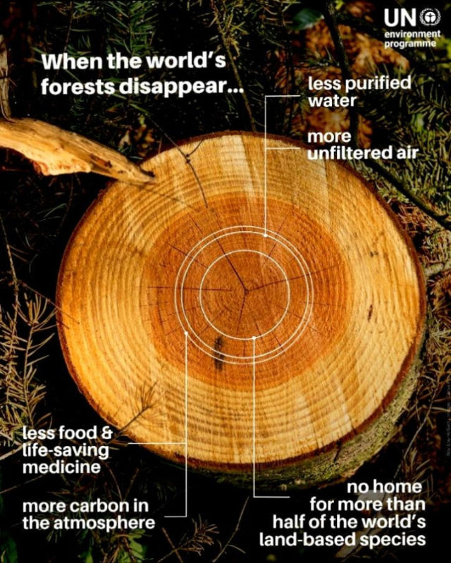 Svona er þetta sett upp hjá Sameinuðu þjóðunum.