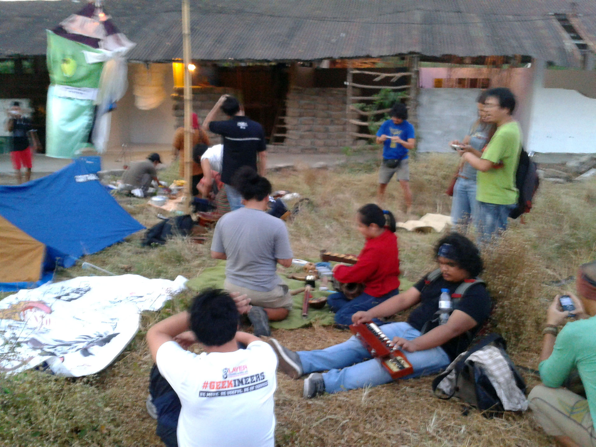 earth art gig 2 (5)