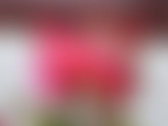 Um nöfn og flokkunarkerfi. Seinni hluti