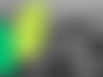 מינוס בחשבון הבנק - גזרת גורל או הזדמנות לצמיחה?