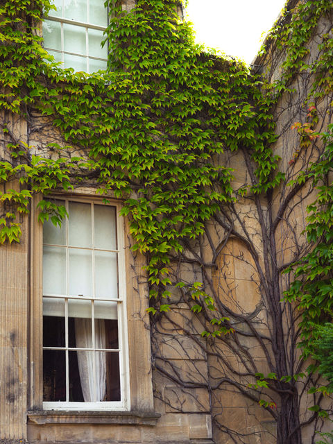 Grevel House (Chipping Campden)