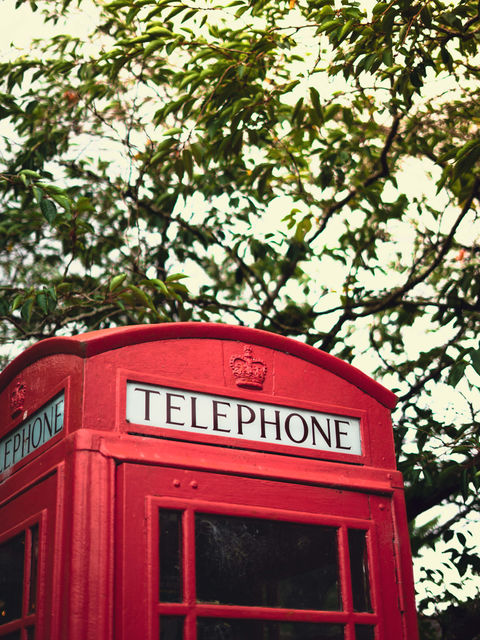 Telephone under Tree (Wilcot)