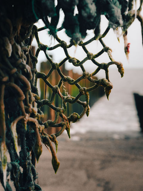 Rotten Rigging (Spurn Point)