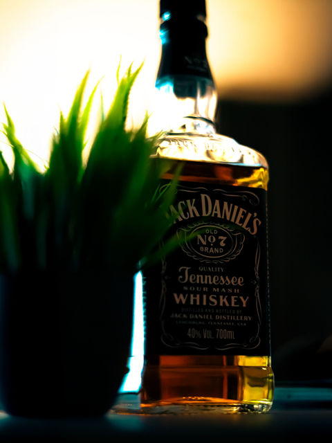 A bottle of Jack Daniels No.7 tucked behind a plastic plant in low light.