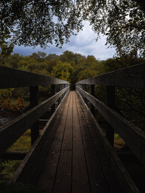 The extremely narrow footbridge leads travellers across the Rhian Burn, through scenic woodland, up a rocky incline, and finally, to Castle Varrich.