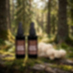 2er Set Lion's Mane Extrakt Tinkturen stehen im Wald, daneben frisch geernteter Lion's Mane