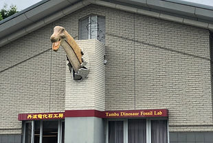 S__33275925.jpg