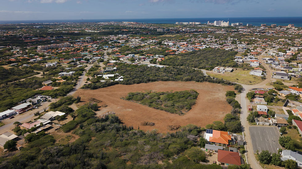Thumbnail: Turibana – Build Your Future in Noord, Aruba