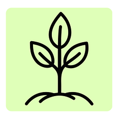 Spring (1).png