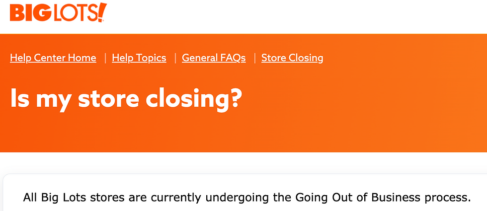 Screenshot from the Big Lots Site on 1/28/25