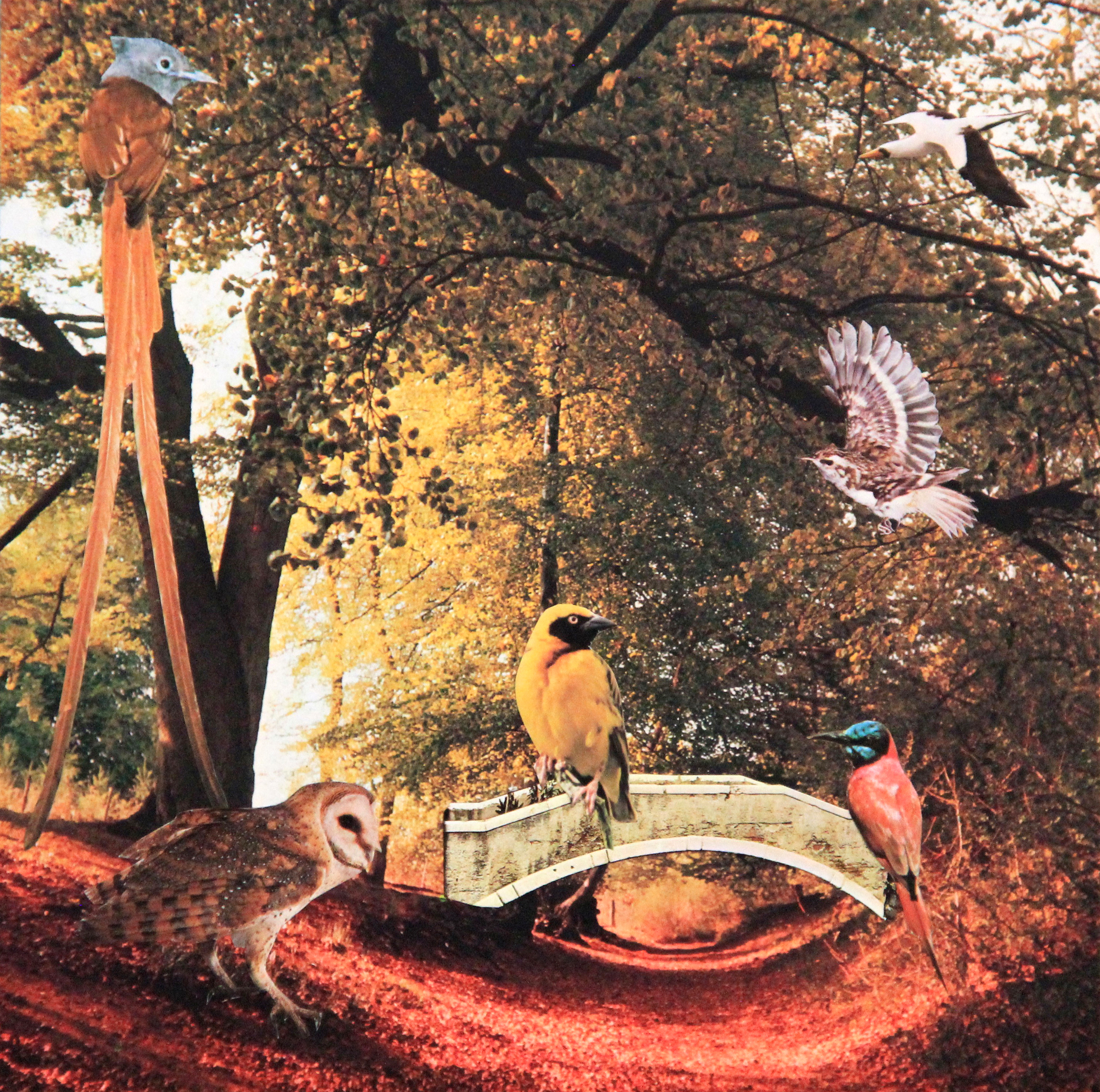 BIRD BRIDGE