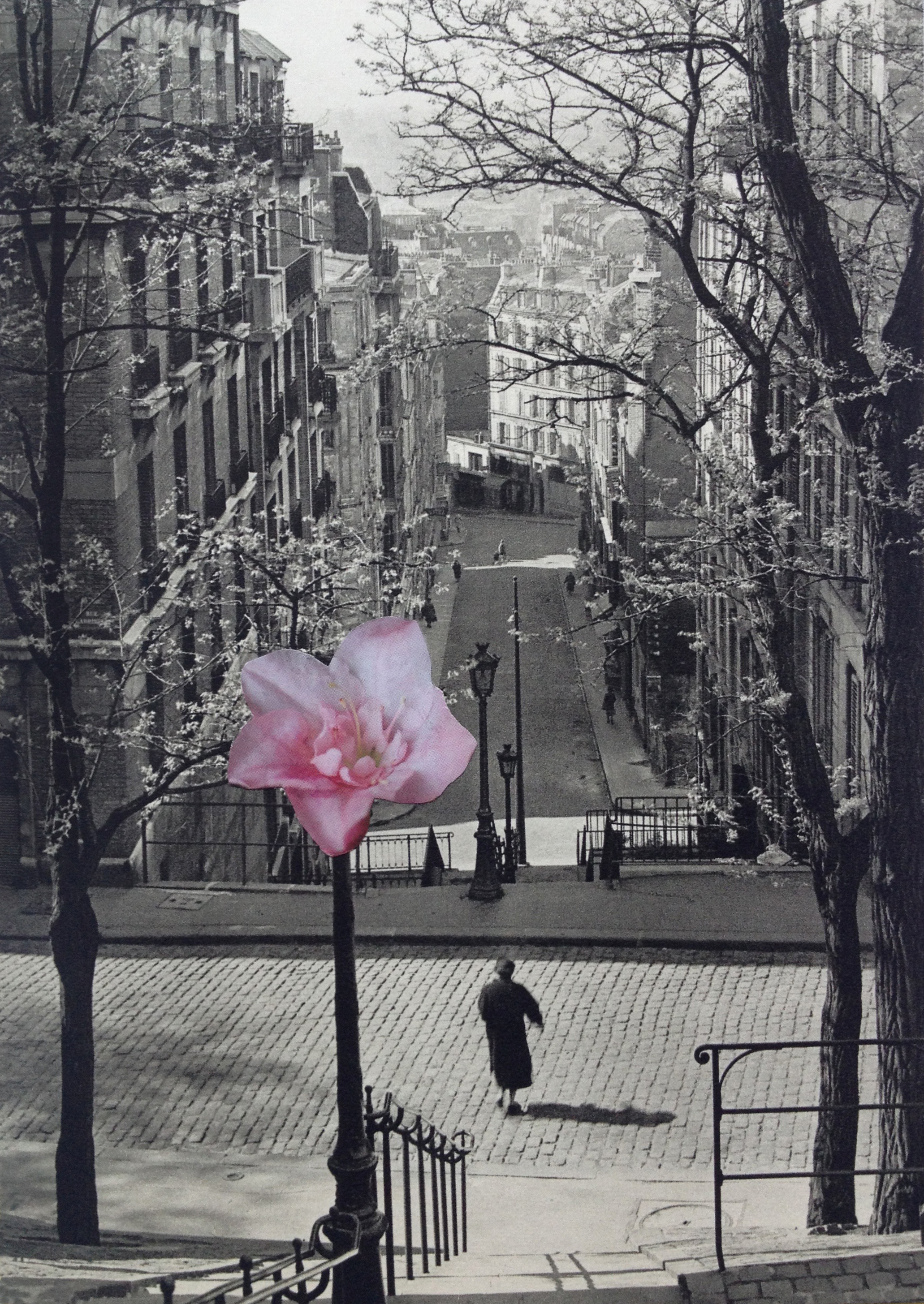 Fleur a Paris (downstairs)