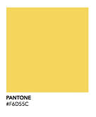 Pantone_01
