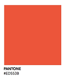 Pantone_02