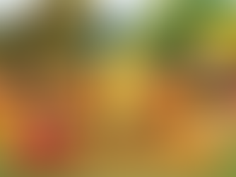 From Ancient India to Modern Day: A Comparative Study of Education Systems