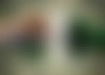 India-Pakistan Border Tensions: Unseen Economic Repercussions