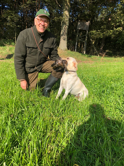 Brauchbarkeit für Birdy