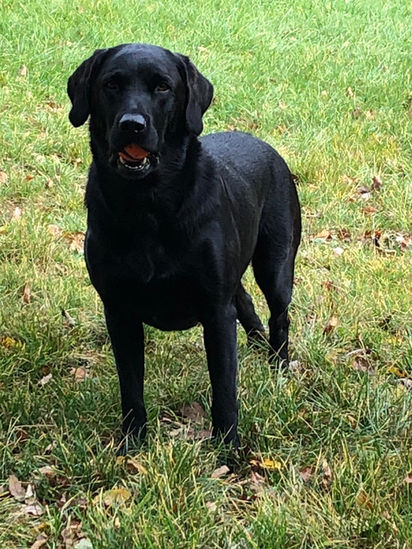 Mocktrial für Ayden