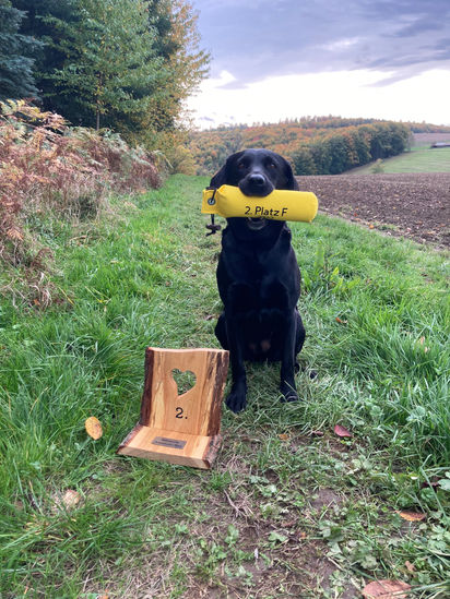 Erfolgreiches Wochenende für die Steinebach's