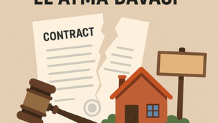 ⚖️ Kamulaştırmasız El Atma Davası Nedir? (Adana Örneğiyle Detaylı Rehber)