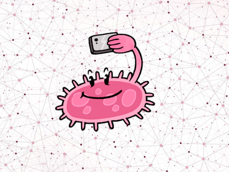 Picture your microbes