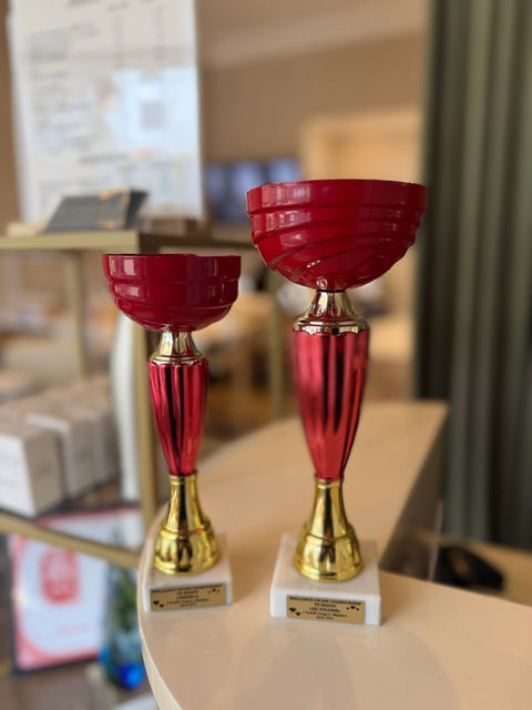 Two red and gold trophies on display for About Us.