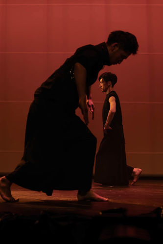 ZUNCHACHA
photo gallery   by yukiwo　 