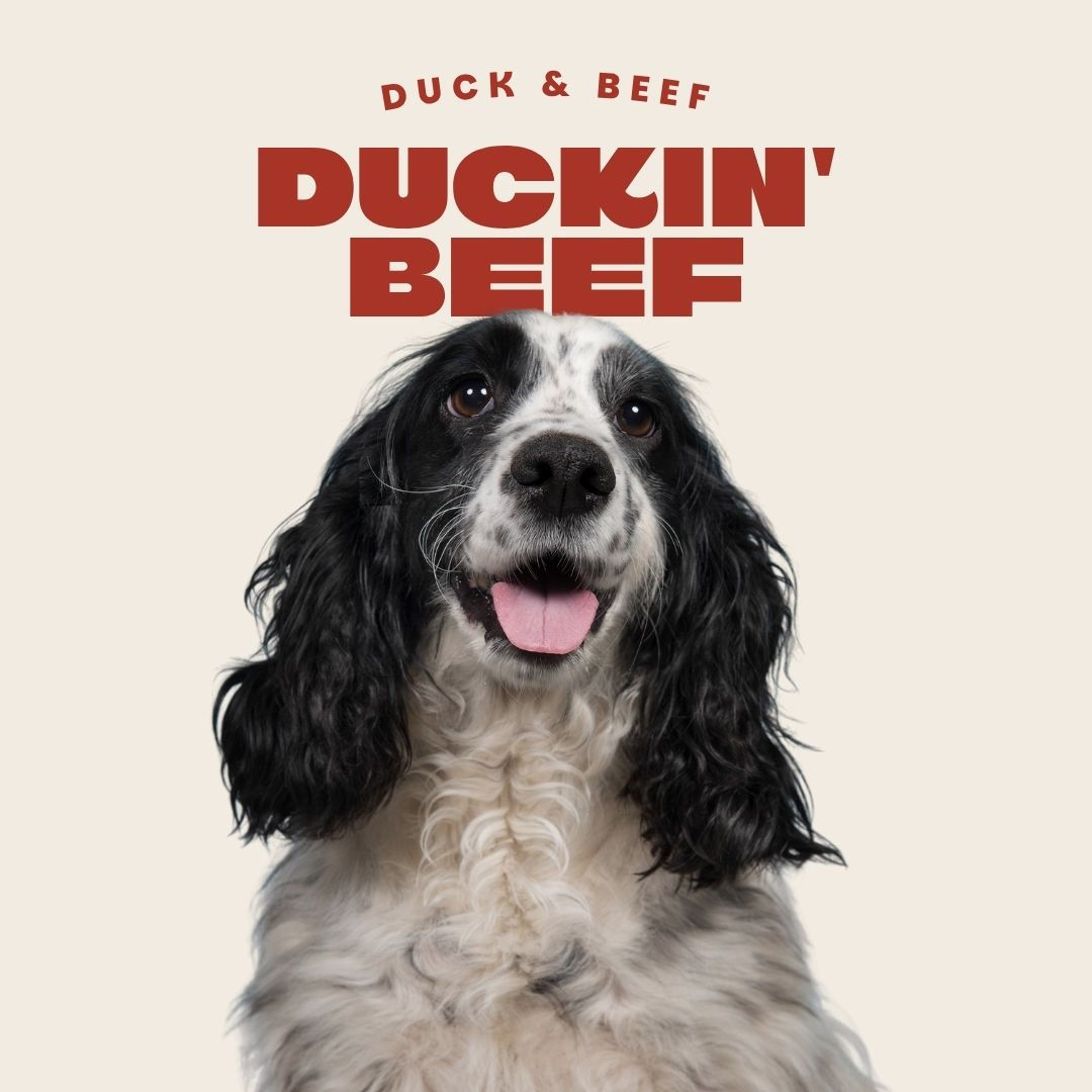 Duck & Beef 80/10/10 Complete Raw Dog Food 454g