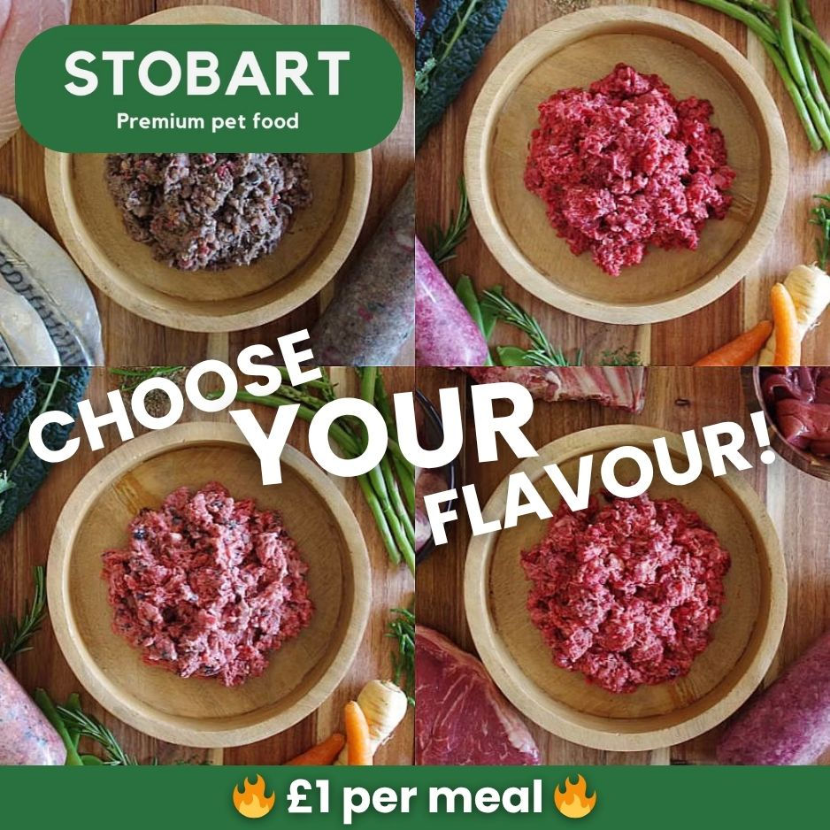 Stobart Complete Raw Meal Range – 454g – Choose Your Flavour