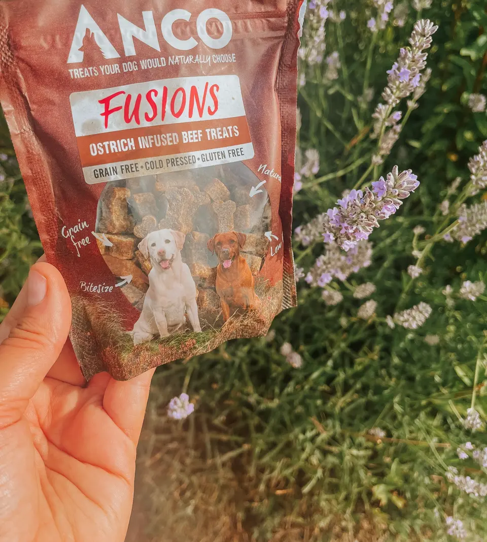 Ostrich infused Beef Training Treats 100g by Anco