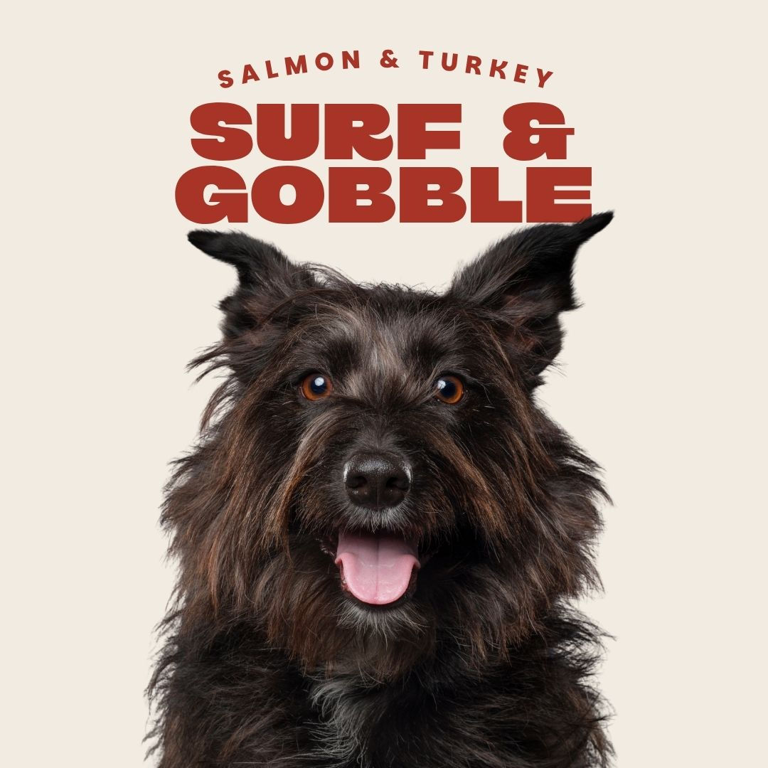 Salmon & Turkey 80/10/10 Complete Raw Dog Food 454g