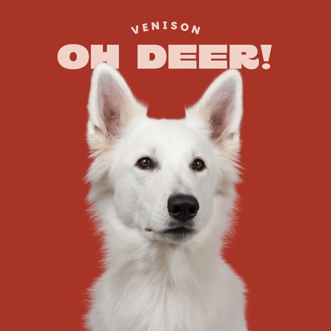 Venison 80/10/10 Complete Raw Dog Food 454g