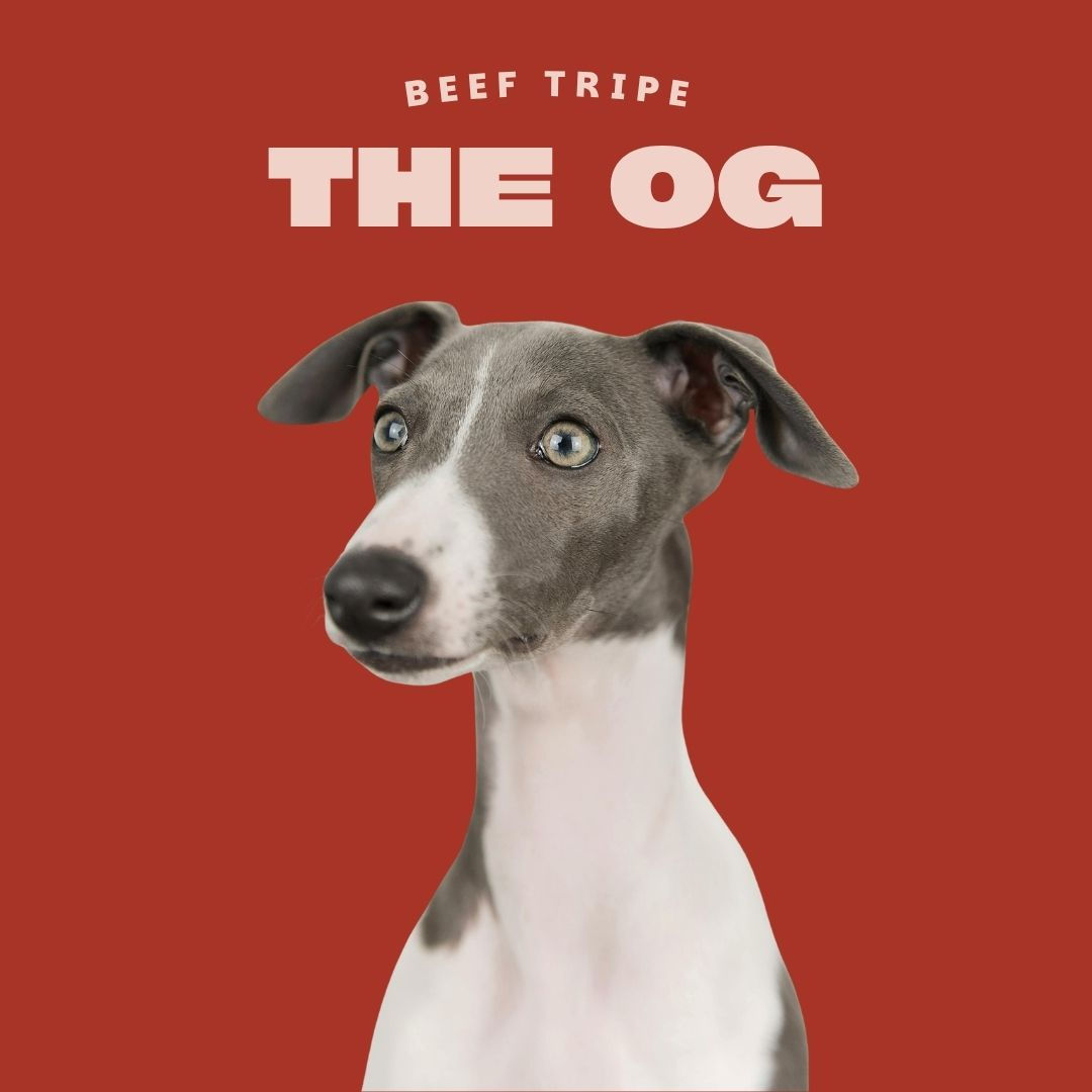 100% Beef Tripe Raw Dog Food 454g