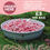 Thumbnail: Eryri Pet 80/10/10 — 30 Meals Bulk Box (15kg)