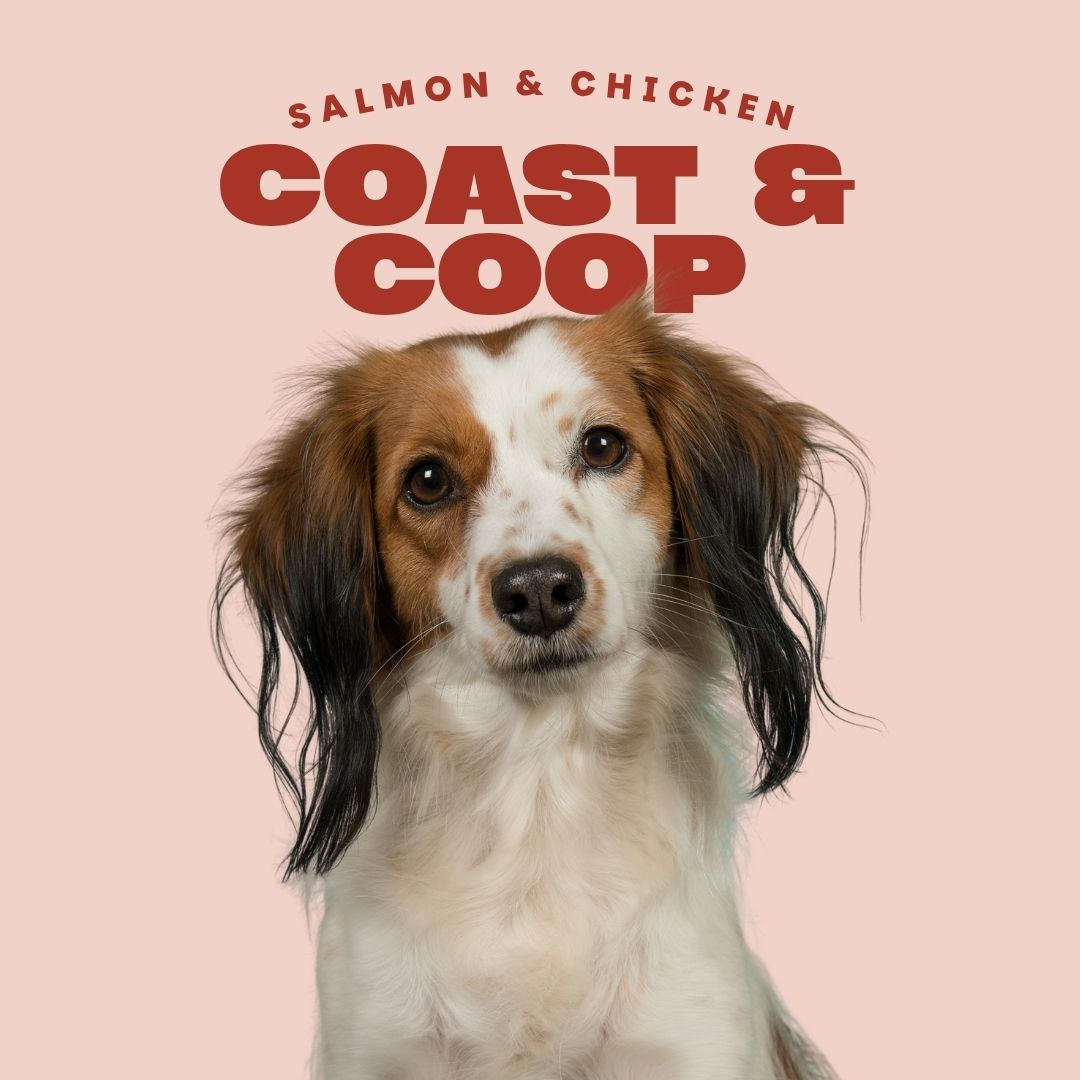 Salmon & Chicken 80/10/10 Complete Raw Dog Food 454g