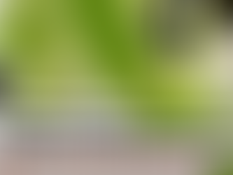 Protect Yourself From COVID - II