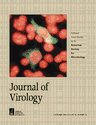 jvi.2000.74.issue-24.cover.gif