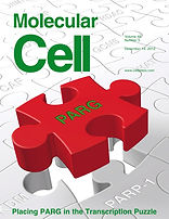 cover.tif (11).jpg