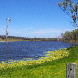 Gordonbrook 150ML Off-Stream Storage